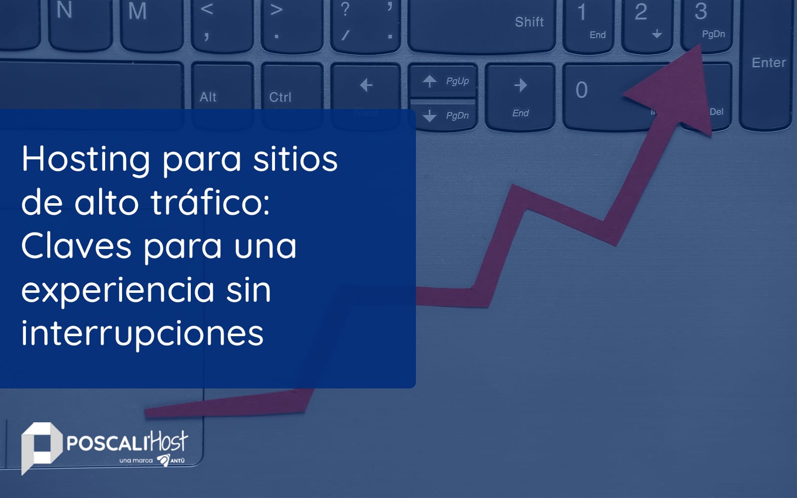 Hosting para sitios de alto tráfico: Claves para una experiencia sin interrupciones