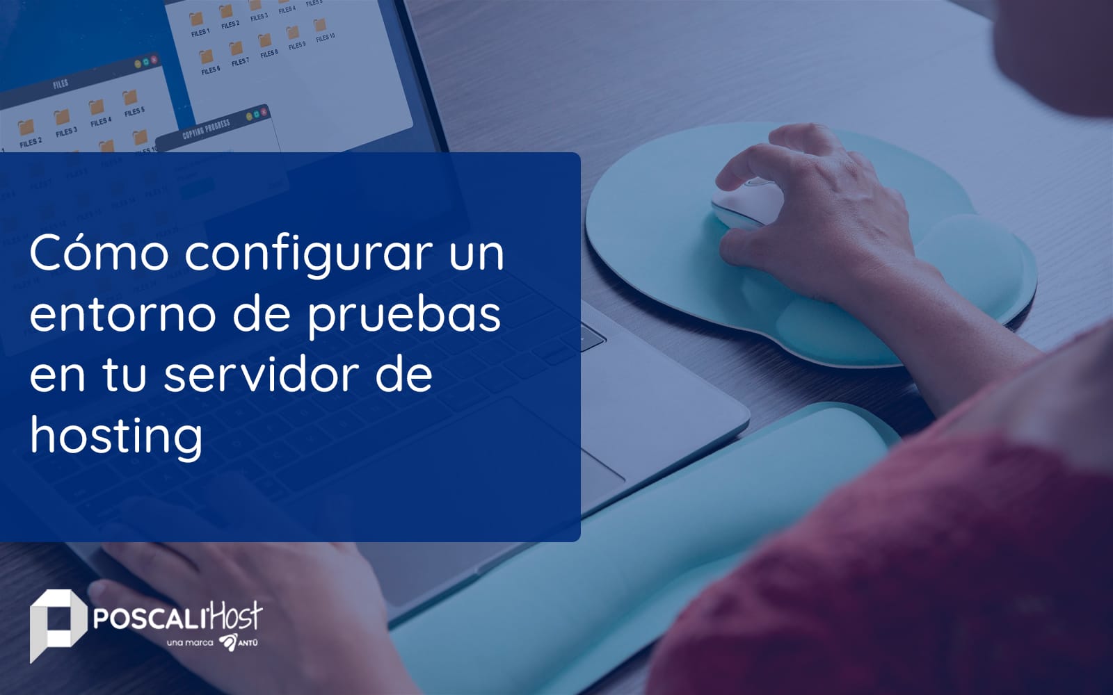 Cómo configurar un entorno de pruebas en tu servidor de hosting